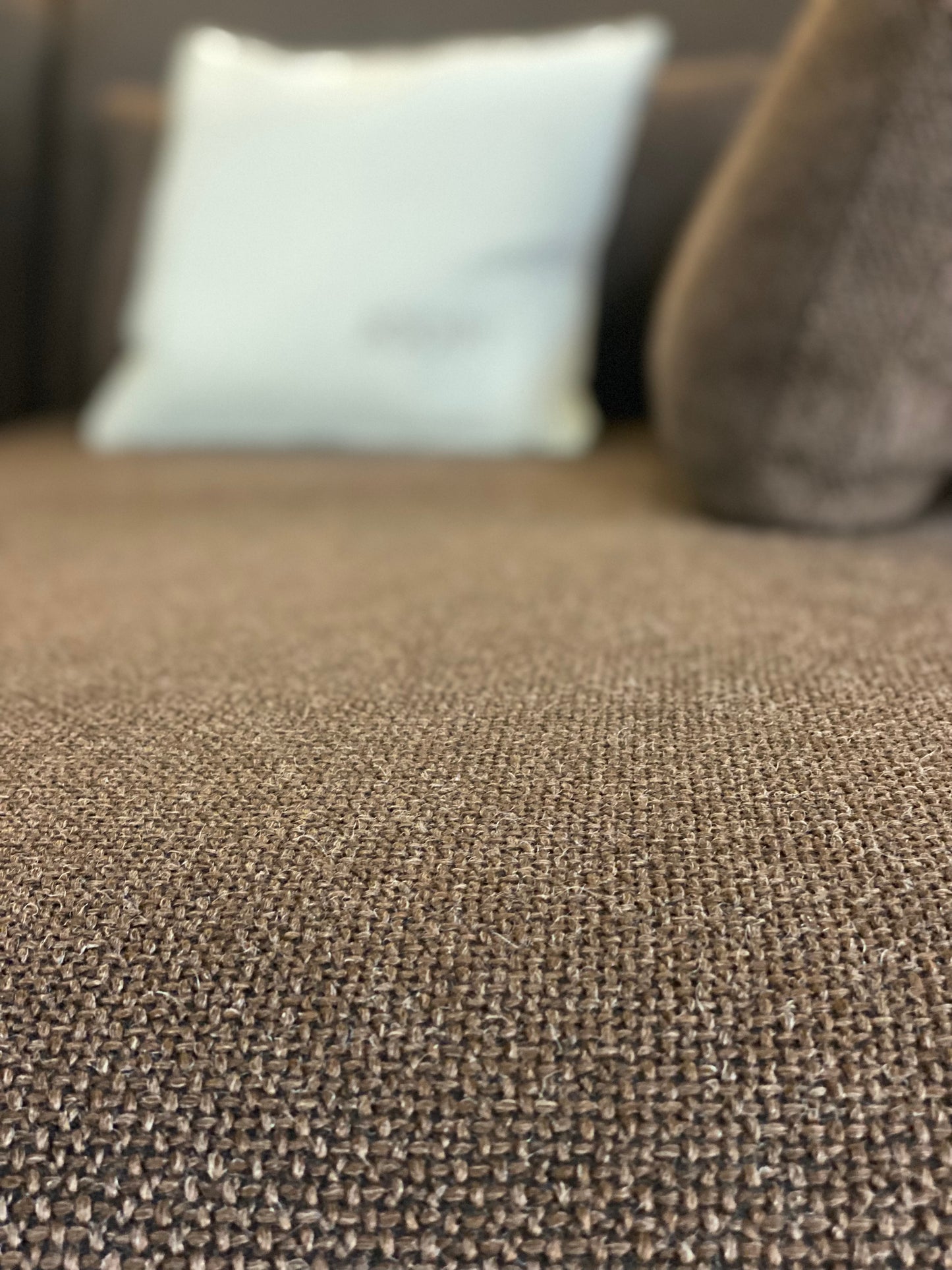 Brühl Moule Designer Ecksofa,Couch,Sofa