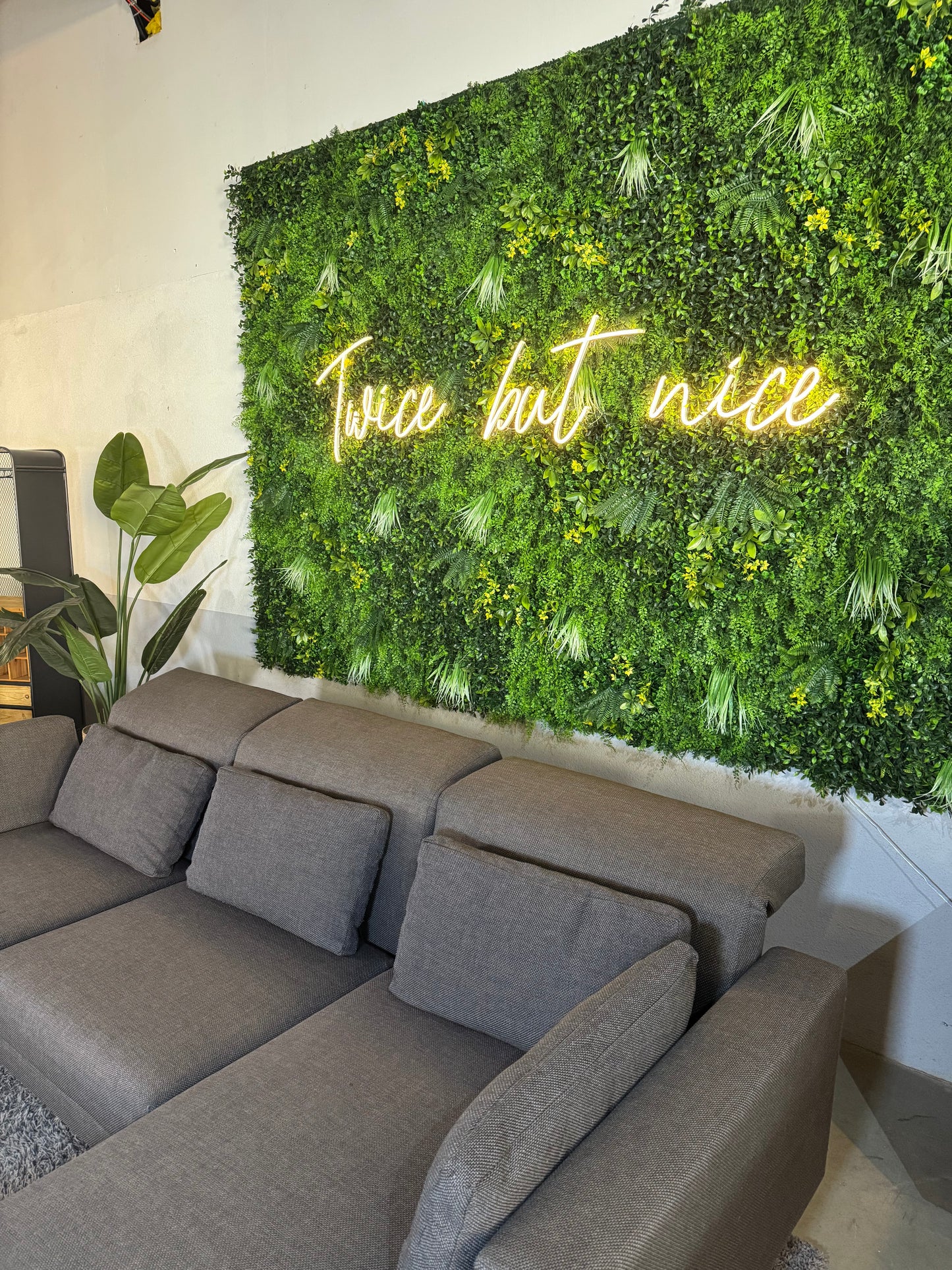 Brühl Moule Ecksofa