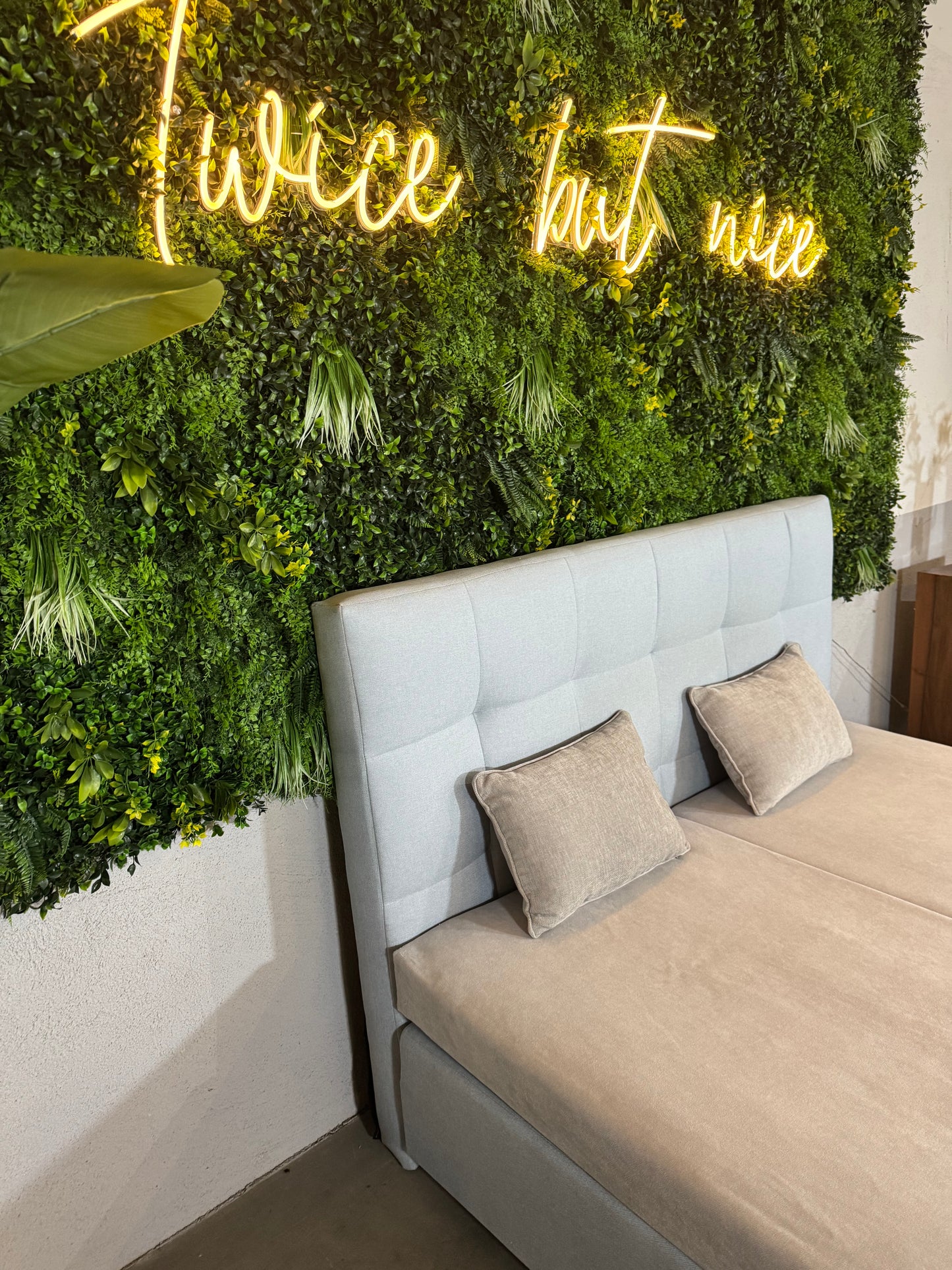 Boxspringbett 160cm x 200cm