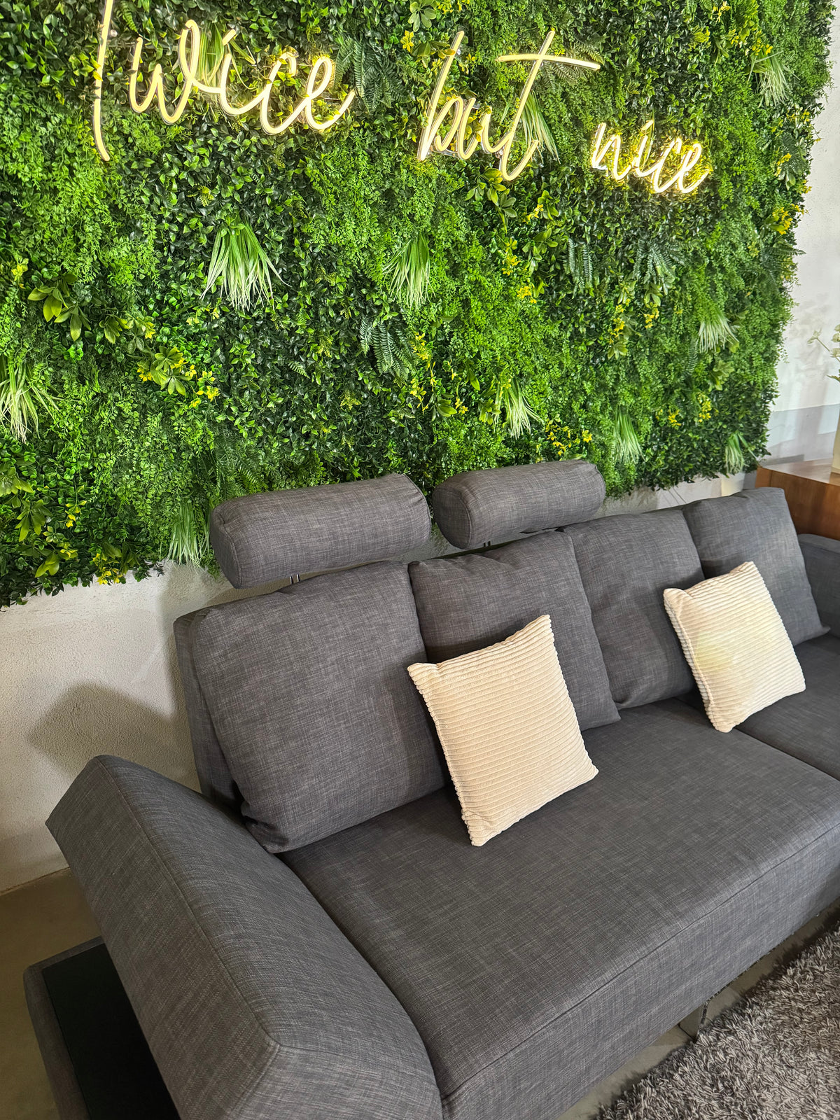Brühl „Four-Two“ Designer Sofa